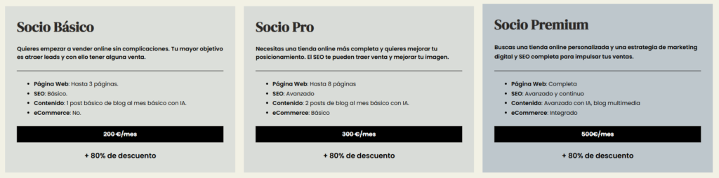 Servicios y precios del servicio de agencia de desarrollo web Servicios y precios del servicio de agencia de desarrollo web